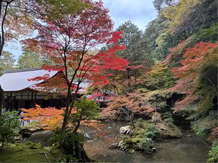 南禅院(京都府)