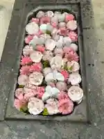 北広島市総鎮守 廣島神社(北海道)