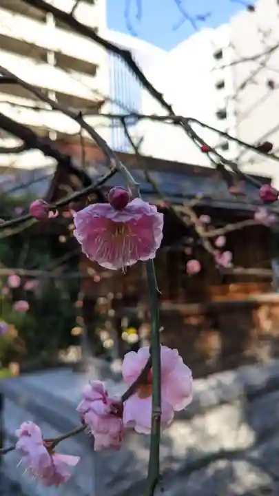 泥江縣神社の自然