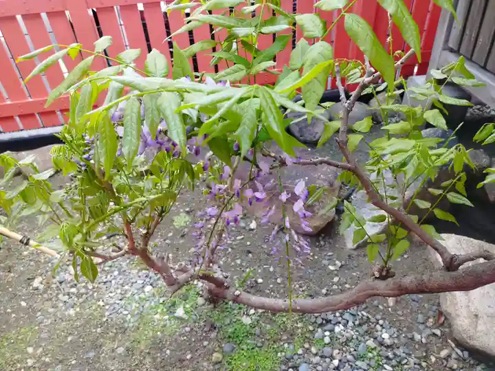 影藤大神(春日神社境外末社)(大阪府)