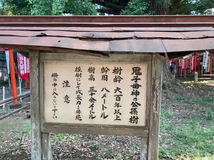 鬼子母神堂 (法明寺)(東京都)