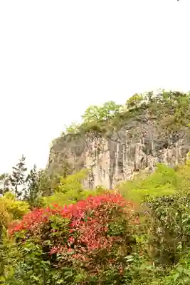 橋立堂(埼玉県)