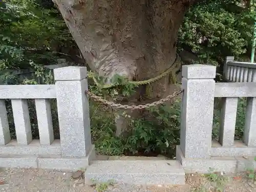 青渭神社の自然