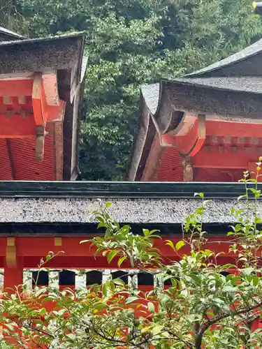 熊野那智大社(和歌山県)