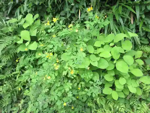 海蔵寺(神奈川県)