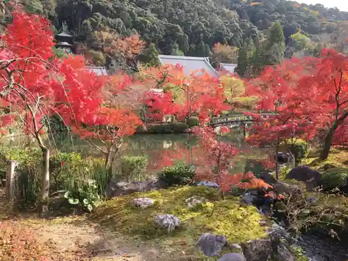 禅林寺（永観堂）の庭園