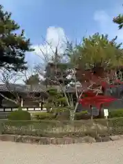 法隆寺の庭園