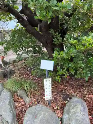 久里浜八幡神社(神奈川県)