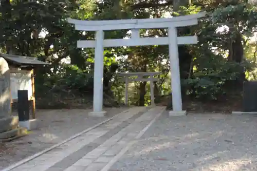 縣神社の鳥居