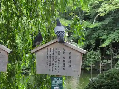 三嶋大社(静岡県)