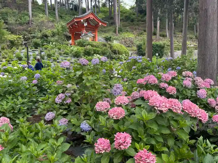 三室戸寺(京都府)