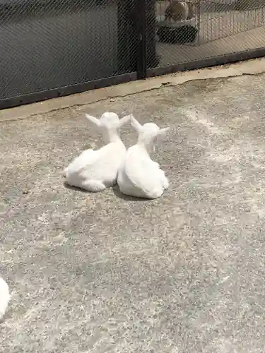 東本願寺本廟 牛久浄苑（牛久大仏）の動物