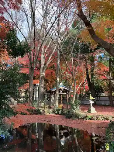 高岩神社(栃木県)