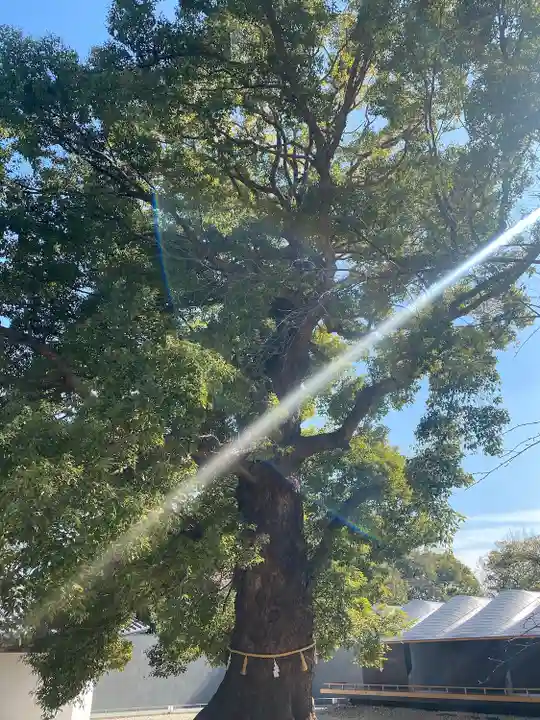 上野東照宮(東京都)