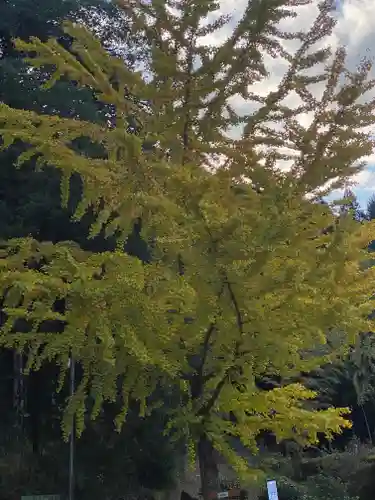 常瀧寺(兵庫県)