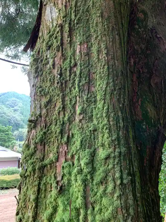姫宮神社(栃木県)