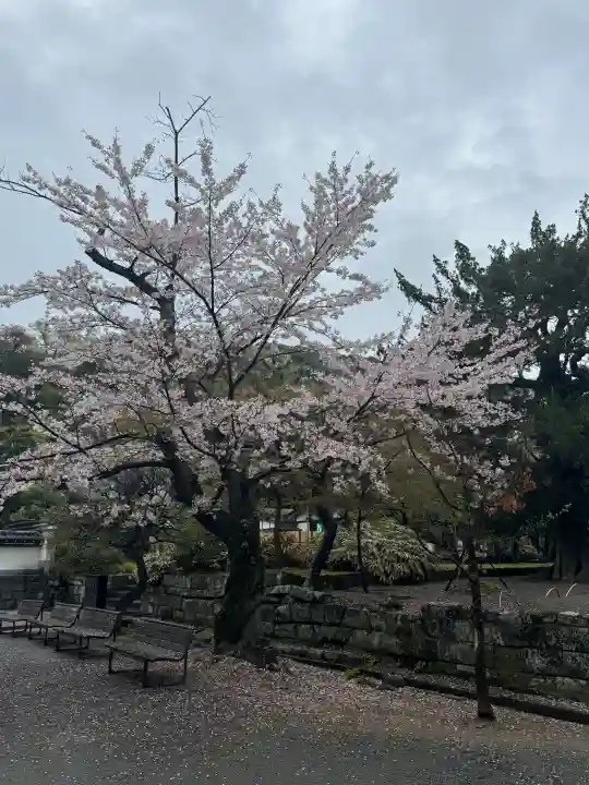 円覚寺の{uncategorized: "未分類", other: "その他", undefined: "問題あり", building: "その他建物", grave: "お墓", sacred_gate: "鳥居", guardian: "狛犬", statue: "像", buddha: "仏像", history: "歴史", nature: "自然", garden: "庭園", animal: "動物", pagoda: "塔", temizu: "手水舎", mountain_gate: "山門・神門", sanctuary: "本殿・本堂", subordinate: "末社・摂社", art: "芸術", scenery: "景色", jizo: "地蔵", ema: "絵馬", goshuin: "御朱印", omikuji: "おみくじ", items: "授与品その他", amulet: "お守り", goshuincho: "御朱印帳", eats: "食事", festival: "お祭り", votive_dance: "神楽", shichigosan: "七五三参", wedding: "結婚式", experience: "体験その他", initially: "初詣", around: "周辺", anti_infection: "感染症対策"}