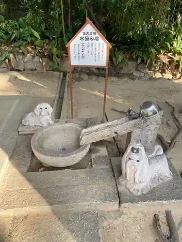 弓弦羽神社(兵庫県)