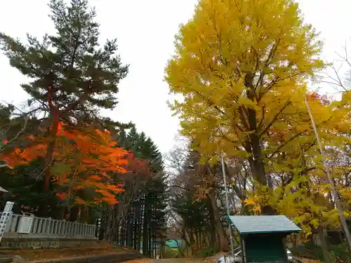 網走神社の自然