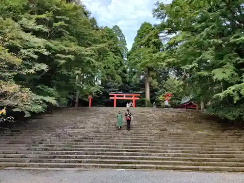 霧島神宮の鳥居