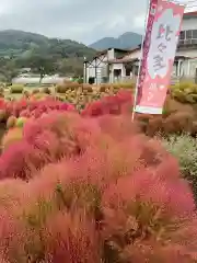 比々多神社の自然