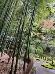 報国寺(神奈川県)