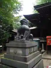 諏方神社の狛犬