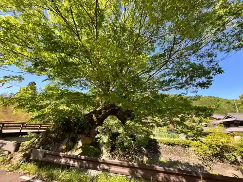 聖光寺の{uncategorized: "未分類", other: "その他", undefined: "問題あり", building: "その他建物", grave: "お墓", sacred_gate: "鳥居", guardian: "狛犬", statue: "像", buddha: "仏像", history: "歴史", nature: "自然", garden: "庭園", animal: "動物", pagoda: "塔", temizu: "手水舎", mountain_gate: "山門・神門", sanctuary: "本殿・本堂", subordinate: "末社・摂社", art: "芸術", scenery: "景色", jizo: "地蔵", ema: "絵馬", goshuin: "御朱印", omikuji: "おみくじ", items: "授与品その他", amulet: "お守り", goshuincho: "御朱印帳", eats: "食事", festival: "お祭り", votive_dance: "神楽", shichigosan: "七五三参", wedding: "結婚式", experience: "体験その他", initially: "初詣", around: "周辺", anti_infection: "感染症対策"}