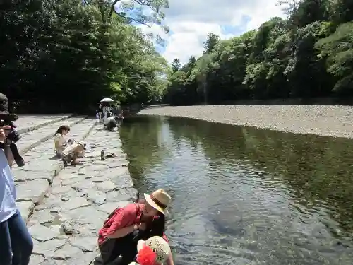 伊勢神宮内宮（皇大神宮）の自然