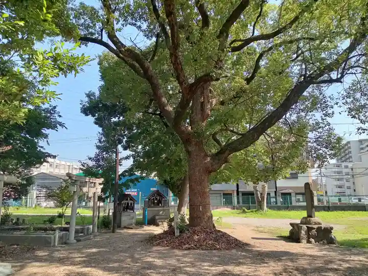 竹渕神社(大阪府)