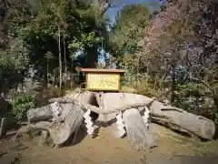 水海道天満宮の自然