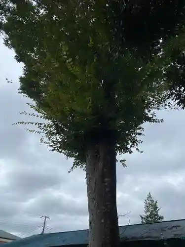 見川稲荷神社(茨城県)