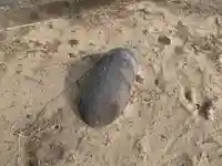 天満神社(千葉県)