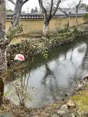 新薬師寺(奈良県)