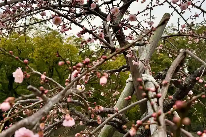伊勢の国 四天王寺(三重県)