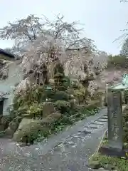 荘厳寺(神奈川県)