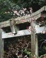 大聖寺(土浦大師不動尊)(茨城県)