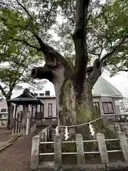 阿邪訶根神社の自然