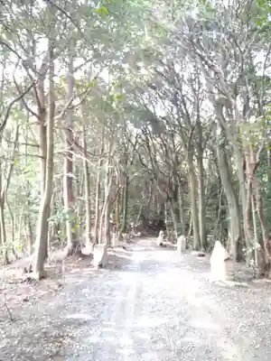 瑜伽山蓮台寺の自然