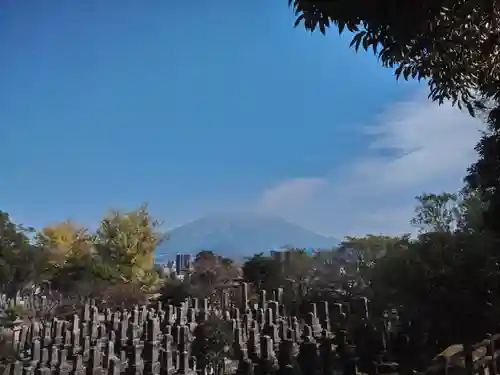 南洲神社の景色