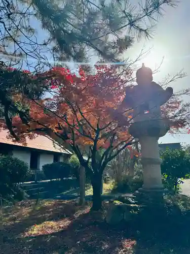 京都乃木神社の自然