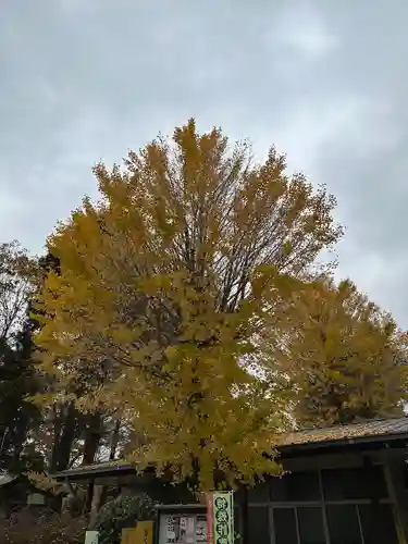 小野神社(東京都)