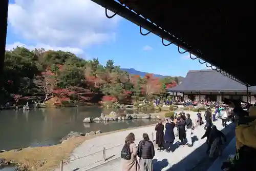 天龍寺の庭園