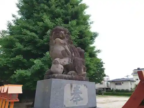 前橋八幡宮の狛犬