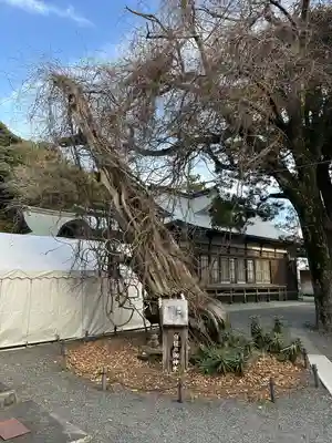 伊古奈比咩命神社(静岡県)