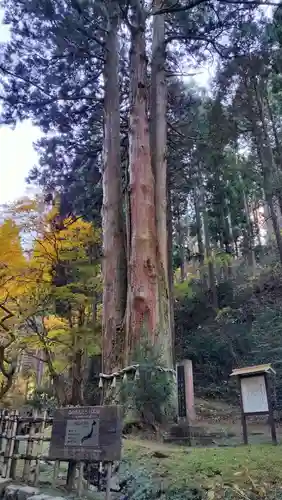 御岩神社の御朱印