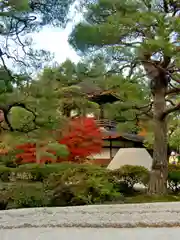 慈照寺（慈照禅寺・銀閣寺）(京都府)