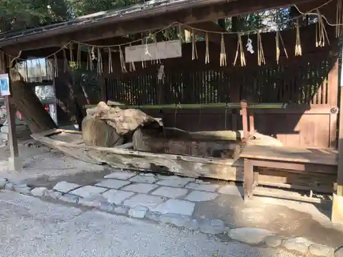 賀茂御祖神社（下鴨神社）(京都府)