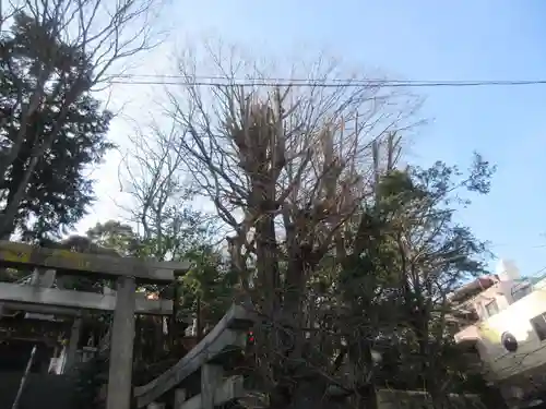 王子稲荷神社の自然