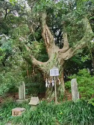 白羽神社のその他建物